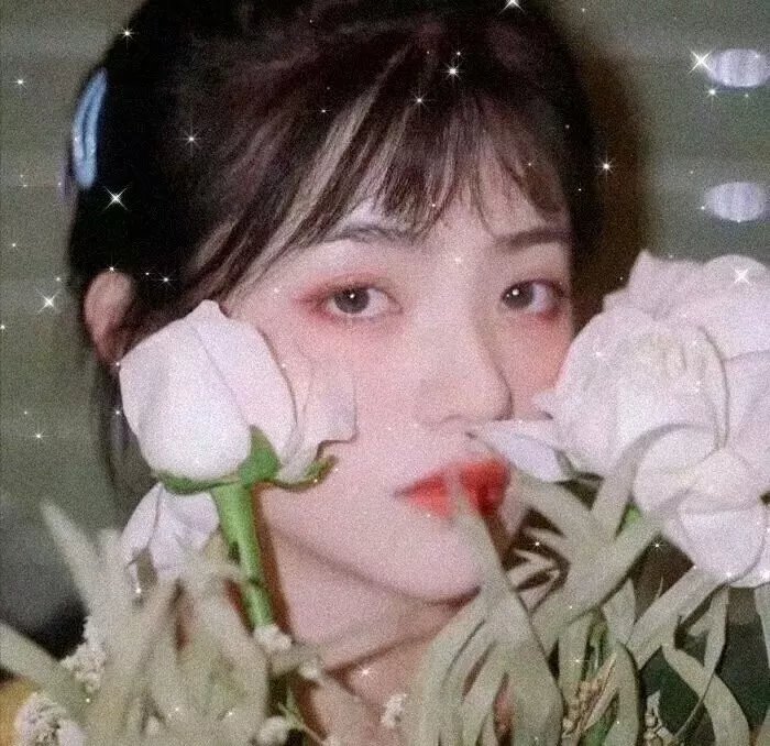 曹老板的十八个秘书